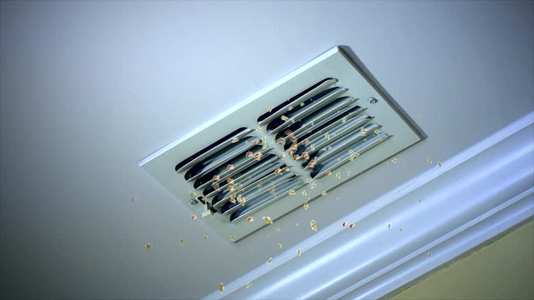 Best Affordable Duct Cleaning Services  in Washington Park, FL
